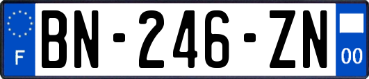 BN-246-ZN