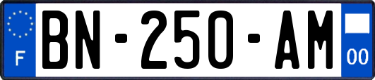 BN-250-AM