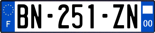 BN-251-ZN