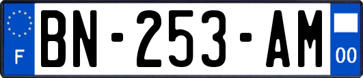 BN-253-AM