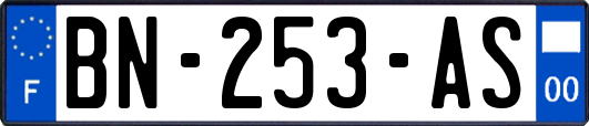 BN-253-AS