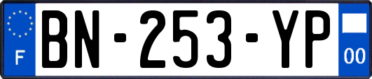 BN-253-YP
