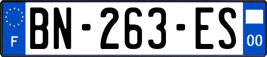 BN-263-ES