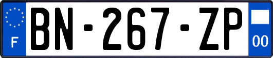 BN-267-ZP