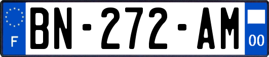 BN-272-AM