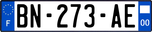 BN-273-AE