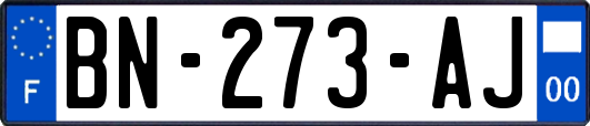 BN-273-AJ