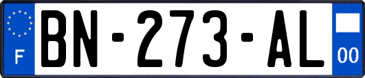 BN-273-AL