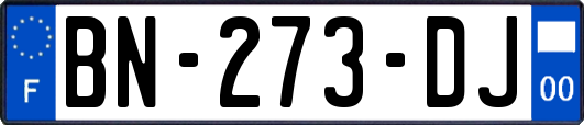 BN-273-DJ