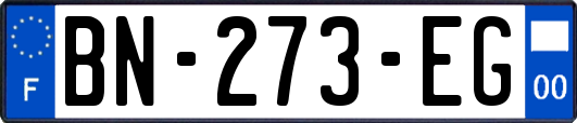 BN-273-EG