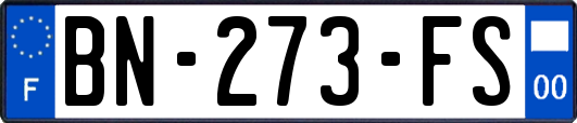 BN-273-FS