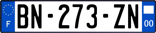 BN-273-ZN