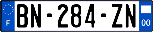 BN-284-ZN