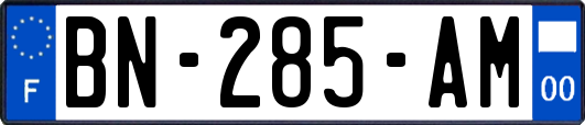 BN-285-AM