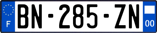 BN-285-ZN