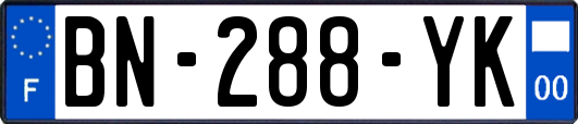 BN-288-YK