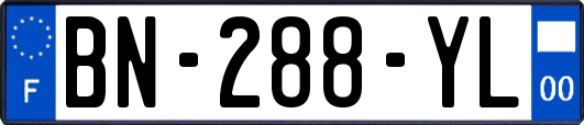 BN-288-YL