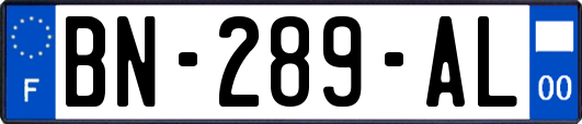 BN-289-AL