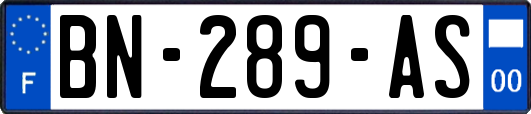 BN-289-AS