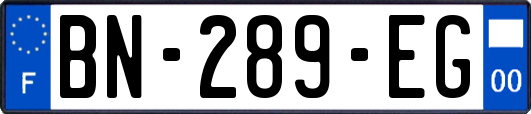 BN-289-EG