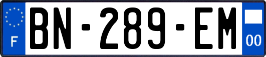 BN-289-EM