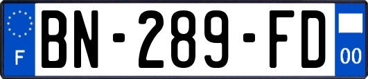 BN-289-FD