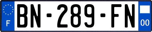 BN-289-FN