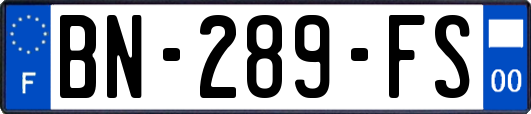 BN-289-FS