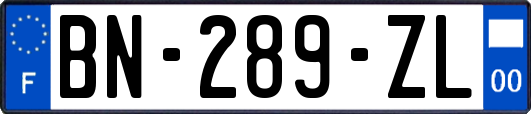 BN-289-ZL