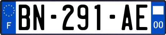 BN-291-AE