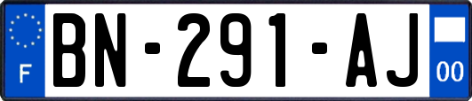 BN-291-AJ