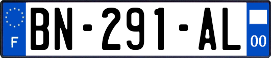 BN-291-AL