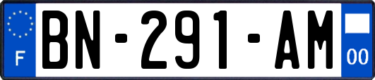 BN-291-AM