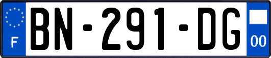 BN-291-DG
