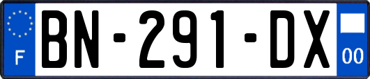 BN-291-DX
