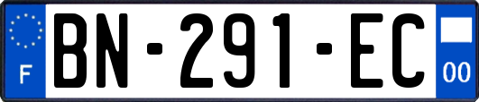 BN-291-EC