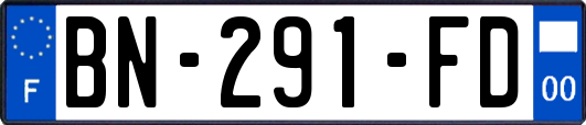 BN-291-FD