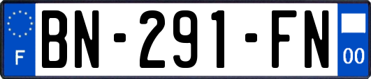 BN-291-FN