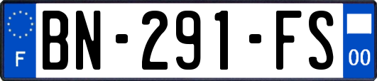 BN-291-FS