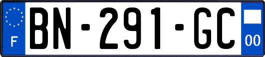 BN-291-GC