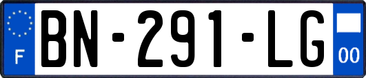 BN-291-LG