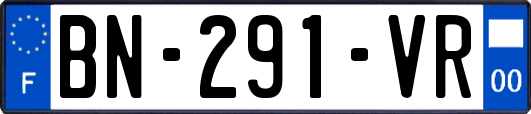 BN-291-VR