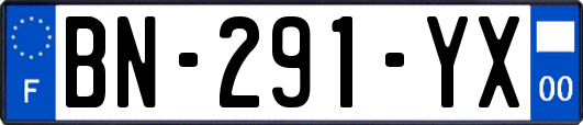 BN-291-YX