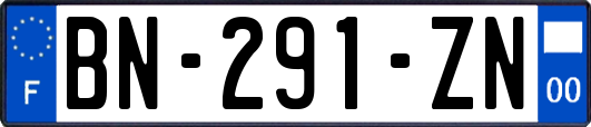 BN-291-ZN