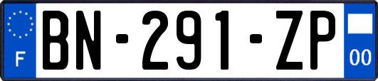 BN-291-ZP