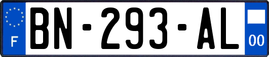 BN-293-AL