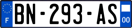 BN-293-AS
