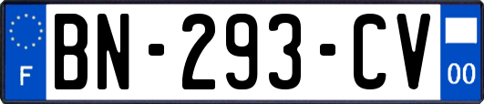 BN-293-CV