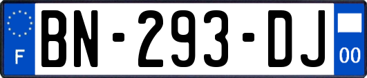 BN-293-DJ