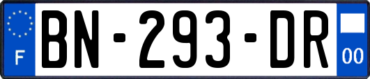 BN-293-DR